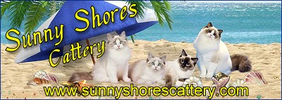 Sunny Shores Catttery